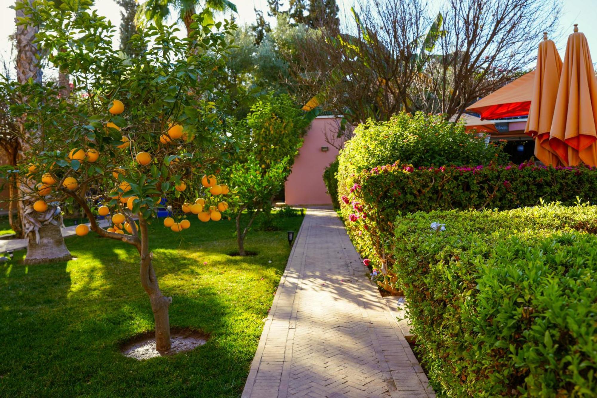 Riad Redwan Douar Caïd Layadi Exteriér fotografie